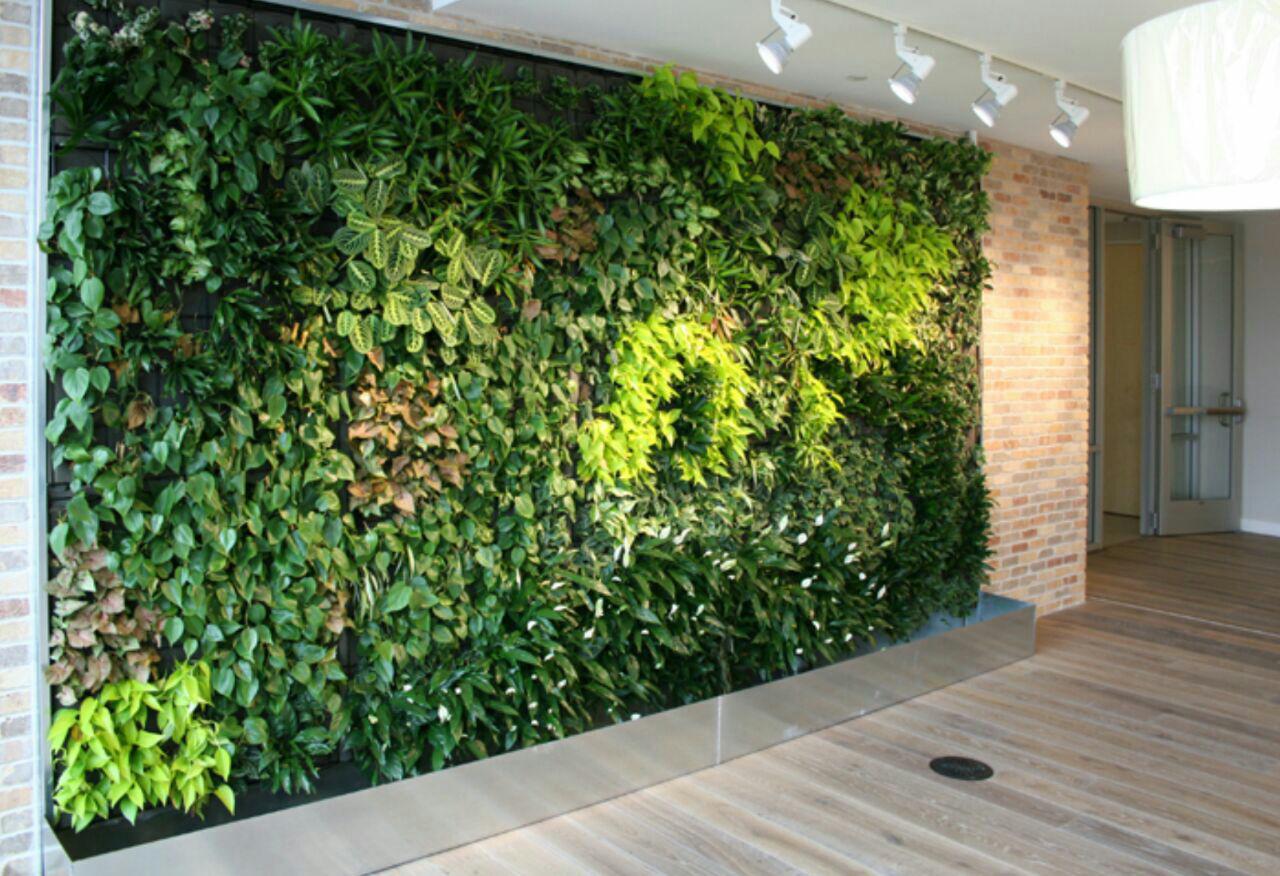 دیوار سبز|دیوار سبز مصنوعی|مهندس آقاخانی۰۹۱۲۳۳۴۹۴۲۰|دیوار سبز گلهای مصنوعی|آفت گیاهان دیوارسبز|قیمت دیوار سبز طبیعی|ساخت دیوار سبز طبیعی|قیمت دیوار سبز مصنوعی|ساخت دیوار سبز مصنوعی|گلدان دیوارسبز