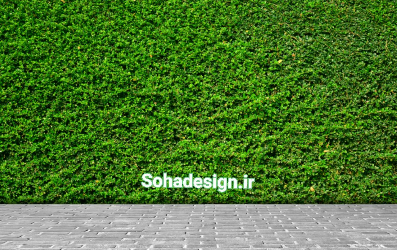 دیوار سبز مصنوعی|دیوارسبز|گرین وال|green wall|بام سبز با گیاهان مصنوعی|بام سبز|ساخت دیوارسبز|ساخت بام سبز|طراحی بام سبز|طراحی و ساخت دیوار سبز|مهندس آقاخانی۰۹۱۲۳۳۴۹۴۲۰|قیمت دیوار سبز مصنوعی|خریددیوارسبزمصنوعی
